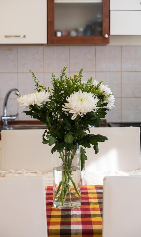 Lefkáda Ionian Grand - Apartments מראה חיצוני תמונה